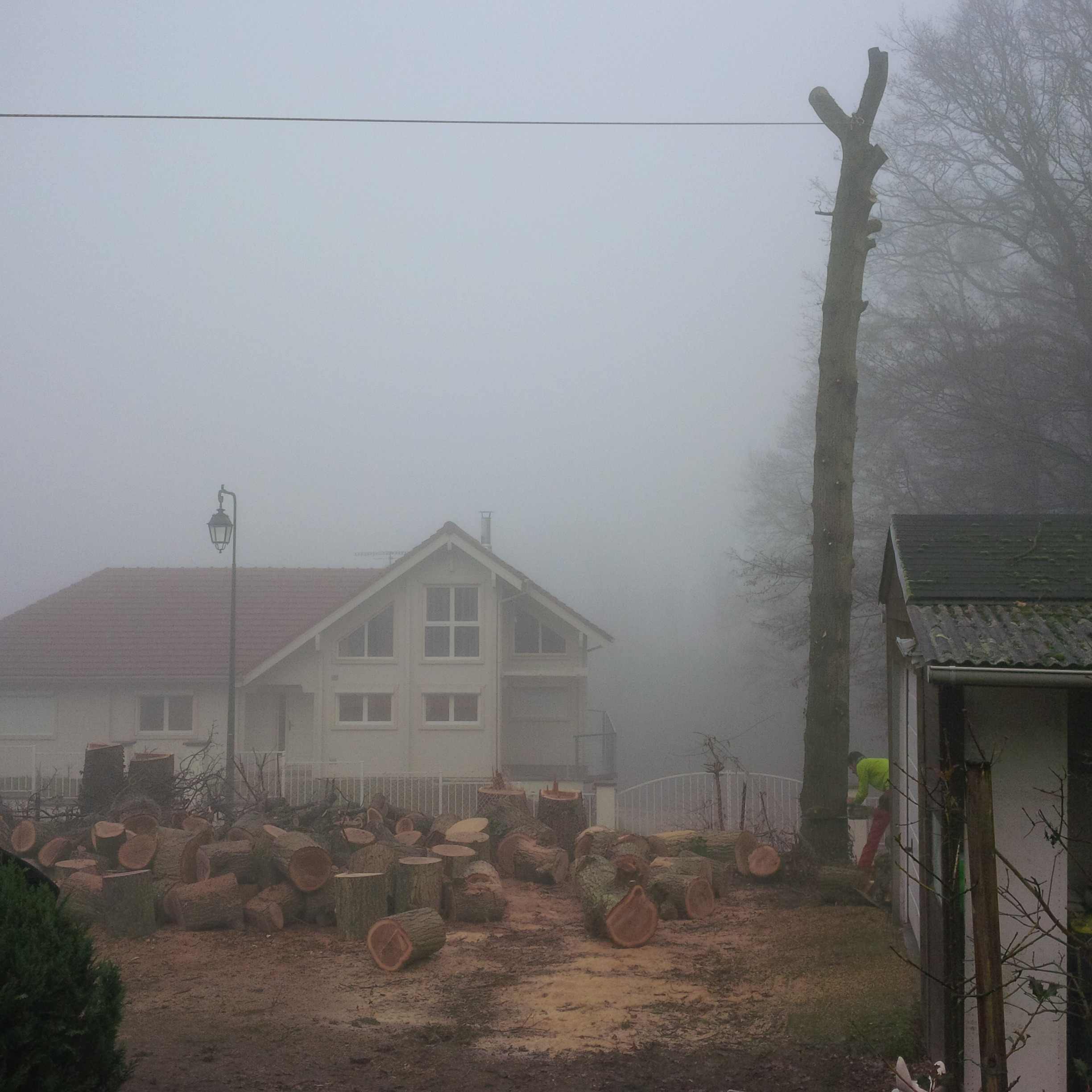 elagage abattage Boissy le Châtel 77169